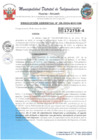 Vista preliminar de documento RESOLUCION GERENCIAL N° 8 - 2024 - MDI - GM
