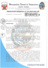 Vista preliminar de documento RESOLUCION GERENCIAL N° 16 - 2024 - MDI - GM