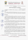 Vista preliminar de documento R.A. N° 043-2024