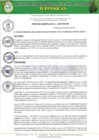 Vista preliminar de documento Presupuesto participativo 2025