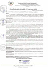 Vista preliminar de documento RA_019_2024_MDI