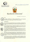 Vista preliminar de documento RD N° 17-01-2024-DE-HCLLH-MINSA