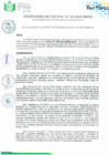 Vista preliminar de documento Ordenanza Municipal N° 02-2024-MPSM