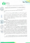 Vista preliminar de documento Ordenanza Municipal N° 04-2024-MPSM-A