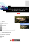 Vista preliminar de documento Capítulo II : Actividades de Explotación