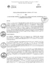 Vista preliminar de documento RSG_N°238-2023