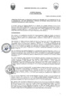 Vista preliminar de documento 1736529910891337151