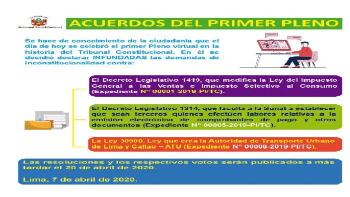 Acuerdos del Primer Pleno Virtual