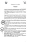 Vista preliminar de documento -3595511995298737931