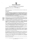 Vista preliminar de documento Resolución N° 0080-2024-SGFCA-GSEGC-MSS