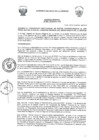 Vista preliminar de documento -2753923947075479378