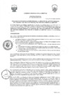 Vista preliminar de documento 3929867775888011516