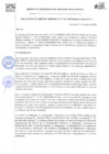 Vista preliminar de documento Resolución