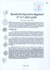 Vista preliminar de documento RER 517-2023-GOB