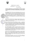 Vista preliminar de documento -1449560422636944560