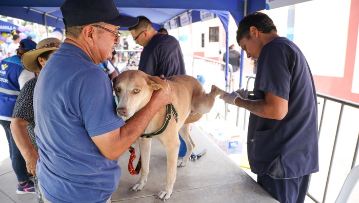 🟡 ¡Celebramos el 55° aniversario de Ventanilla con cuidado y cariño para nuestras mascotas! 🐾 🎉 Gracias al compromiso del alcalde 𝐉𝐡𝐨𝐯𝐢𝐧𝐬𝐨𝐧 𝐕𝐚𝐬𝐪𝐮𝐞𝐳, hemos llevado a cabo una campaña veterinaria con una gama de servicios para consentir a las mascotas de nuestros vecinos. 🐶🐱 ¡Juntos construimos una comunidad más fuerte y saludable, con amor por cada miembro, incluso los peludos del hogar! 🐾