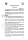 Vista preliminar de documento 946600056713295027
