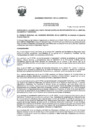 Vista preliminar de documento -1797547522600556130