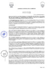 Vista preliminar de documento 3069568904764402911