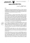 Vista preliminar de documento Resolucion_Directoral_317_2021