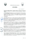 Vista preliminar de documento 1413670083405223489