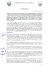 Vista preliminar de documento 1451217612110274053