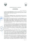 Vista preliminar de documento -4390547413266578382