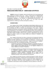 Vista preliminar de documento RD Nº D000016-2024-DE