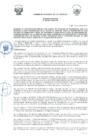 Vista preliminar de documento -173414071398052367
