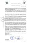 Vista preliminar de documento 2497570082938774429