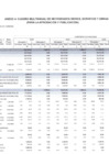 Vista preliminar de documento Anexo Nº 04 - Cuadro Multianual de Necesidades Bienes, Servicios y Obras - 2024