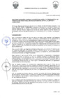 Vista preliminar de documento -3281141082062695381