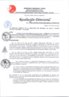 Vista preliminar de documento RD 005-2023 APROBAR LAS BASES DEL PROCEDIMIENTO DE SELECCION-CONCURSO PUBLICO N 001-2023