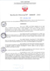Vista preliminar de documento RD Nº000035 15-01-202420240119_16272909