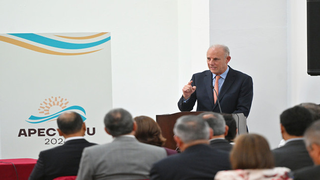 Discurso del canciller Javier González-Olaechea Franco en la ceremonia de lanzamiento de "APEC Ciudadano Perú 2024"