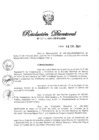 Vista preliminar de documento RD N° 004-2024