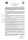 Vista preliminar de documento -3091122655416338751