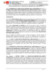 Vista preliminar de documento 229