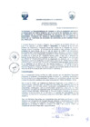 Vista preliminar de documento -3981847454674721607
