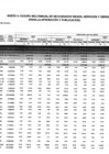 Vista preliminar de documento Cuadro Multianual de Necesidades 2024 (1)