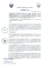 Vista preliminar de documento 1762052129747606834