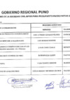 Vista preliminar de documento Resultado de Elección de la Soc. Civil