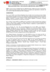Vista preliminar de documento 133