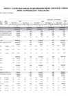 Vista preliminar de documento CUADRO MULTIANUAL DE NECESIDADES DE BIENES, SERVICIOS Y OBRAS-3
