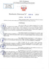 Vista preliminar de documento RD N 0010