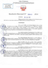 Vista preliminar de documento RD N 0017