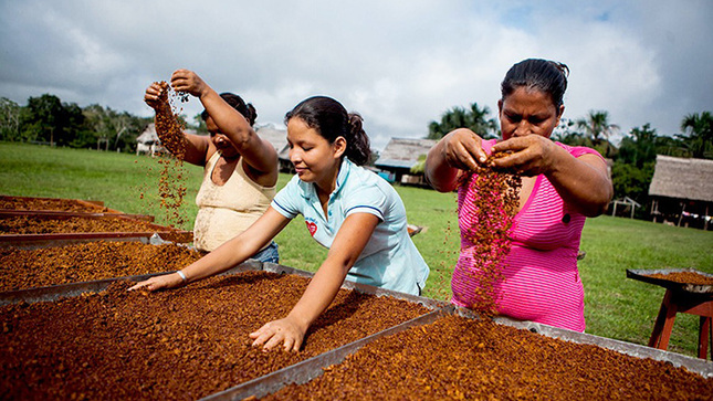 proyectos innovación, emprendimiento y desarrollo productivo