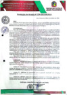 Vista preliminar de documento RA-234-2023