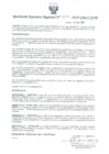 Vista preliminar de documento -1132450655256153264