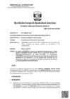 Vista preliminar de documento RCONAS-00005-2024-PRODUCE-CONAS-UT